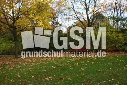 Herbststimmung-25-10-09 011.jpg